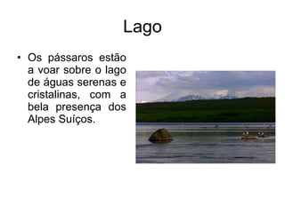 Lago Os pássaros estão a voar sobre o lago de águas serenas e cristalinas, com a bela presença dos Alpes Suíços.  
