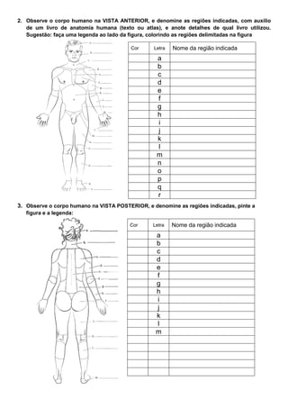 2. Observe o corpo humano na VISTA ANTERIOR, e denomine as regiões indicadas, com auxílio
de um livro de anatomia humana (texto ou atlas), e anote detalhes de qual livro utilizou.
Sugestão: faça uma legenda ao lado da figura, colorindo as regiões delimitadas na figura
3. Observe o corpo humano na VISTA POSTERIOR, e denomine as regiões indicadas, pinte a
figura e a legenda:
Cor Letra Nome da região indicada
a
b
c
d
e
f
g
h
i
j
k
l
m
n
o
p
q
r
Cor Letra Nome da região indicada
a
b
c
d
e
f
g
h
i
j
k
l
m
 