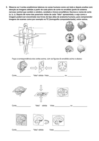 5. Observe os 3 cortes anatômicos básicos no corpo humano como um todo e depois analise com
atenção as imagens obtidas a partir de cada plano de corte no encéfalo (parte do sistema
nervoso central que contém o cérebro, cerebelo e tronco encefálico). Escreva o nome do corte
(a, b, c). Depois dê nome das possíveis vistas de cada “fatia” apresentada, e veja como a
imagem poderá ser encontrada nos livros do tipo atlas de anatomia humana, para compreender
imagens de exames como por exemplo na TC (tomografia computadorizada), entre outros.
Faça a correspondência dos cortes acima, com as figuras do encéfalo acima e abaixo:
Corte______________ “fatia” obtida Vista _______________ ou ______________
Corte______________ “fatia” obtida Vista _______________ ou ______________
Corte______________ “fatia” obtida Vista _______________
 