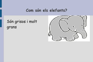 Com són els elefants? Són grisos i molt grans 