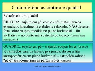 Circunferências cintura e quadril  Relação cintura-quadril  CINTURA: sujeito em pé, com os pés juntos, braços estendidos lateralmente e abdome relaxado; NÃO deve ser feita sobre roupas; medida no plano horizontal – fita inelástica – no ponto mais estreito do tronco.  ( Lohman, Roche, Martorell, 1988 ). QUADRIL: sujeito em pé – trajando roupas leves, braços  levantados  para os lados e pés juntos; dispor a fita antropométrica em plano horizontal – estendida sobre a “pele” sem comprimir as partes moles  ( OMS, 1995 ) 
