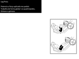 Leg Press Potencia a força aplicada nos pedais Trabalha de forma global  os quadricipedes, Glúteos e gémeos 