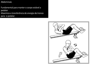 Abdominais Fundamental para manter o corpo estável a pedalar Maximiza a transferência de energia do tronco para  o pedalar 