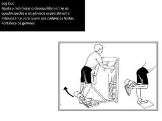 Leg Curl Ajuda a minimizar o desequilibro entre os quadricipedes e os gémeos especialmente interessante para quem usa cadencias lentas. Fortalece os gémeos 