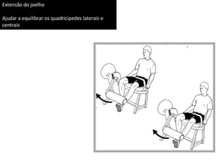 Extensão do joelho Ajudar a equilibrar os quadricipedes laterais e  centrais 