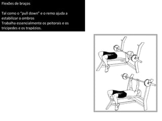 Flexões de braços Tal como o “pull down” e o remo ajuda a estabilizar o ombros Trabalha essencialmente os peitorais e os tricipedes e os trapézios. 