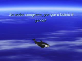 Se nadar emagrece, por que a baleia é gorda?   