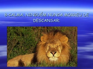 8-CALMA, NINGUÉM NUNCA MORREU DE DESCANSAR; 