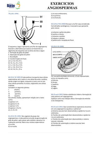v EXERCICIOS
ANGIOSPERMAS
79) (UEL-1994)
O esquema a seguir representa uma flor de angiosperma.
Assinale a alternativa que associa corretamente os
algarismos do esquema com as letras da lista a seguir.
a. formação de grãos de pólen
b. deposição dos grãos de pólen
c. fecundação
d. transformação em fruto
a) I-a, II-d, III-b, IV-c.
b) I-b, II-a, III-c, IV-d.
c) I-c, II-d, III-a, IV-b.
d) I-c, II-b, III-d, IV-a.
e) I-d, II-b, III-c, IV-a.
80) (PUC-SP-2005) O tubo polínico transporta duas células
espermáticas até o ovário e uma delas fecunda a oosfera,
dando origem ao zigoto, enquanto a outra une-se com
duas células presentes no óvulo, originando uma célula
triplóide.
Considere as seguintes plantas:
I. oliveira;
II. pinheiro;
III. parreira;
IV. cajueiro.
Das plantas citadas, apresentam relação com o texto
acima:
a) apenas I e II.
b) apenas II e III.
c) apenas I e IV.
d) apenas I, III e IV.
e) I, II, III e IV.
81) (PUC-RS-1999) Nos vegetais do grupo das
angiospermas, o tubo polínico oriundo da germinação do
grão de pólen, após passar pelo estilete e penetrar no
rudimento seminal, libera seus núcleos espermáticos
a) no hilo.
b) na nucela.
c) no saco embrionário.
d) na primina.
e) no funículo.
82) (UFla/ PAS-2000) Para que uma flor seja considerada
hermafrodita (andrógena), é necessário que apresente
pelo menos:
a) estames e grãos-de-pólen.
b) pistilos e óvulos.
c) estames e pistilos.
d) sépalas e pétalas.
e) pedúnculo e receptáculo floral.
83) (PUC-RS-2000)
Por sua particularidade estrutural, o fruto representado
acima se enquadra como
a) folículo.
b) drupa.
c) aquênio.
d) baga.
e) vagem.
84) (Fuvest-2001) Certas substâncias inibem a formação do
tubo polínico em angiospermas.
Explique como essa inibição afeta a formação do embrião
e do endosperma.
85) (Fuvest-2001) Que características esperamos encontrar
em uma angiosperma aquática e submersa?
a) Sistema vascular bem desenvolvido e epiderme rica em
estômatos.
b) Tecidos de sustentação bem desenvolvidos e epiderme
rica em estômatos.
c) Tecidos de sustentação bem desenvolvidos e sistema
vascular reduzido.
d) Tecidos de sustentação e sistema vascular bem
desenvolvidos.
 