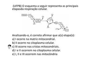 (UFPB) O esquema a seguir representa as principais
etapasda respiração celular.
Analisando-o, é correto afirmar que a(s) etapa(s):
a) I ocorre na matriz mitocondrial.
b) II ocorre no citoplasma celular.
c) III ocorre nas cristas mitocondriais.
d) I e II ocorrem no citoplasma celular.
e) I, II e III ocorrem nas mitocôndria
 