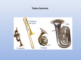 Tubos Sonoros

 