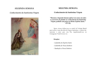 SEGUNDA SEMANA                                 SEGUNDA SEMANA

Conhecimento da Santíssima Virgem           Conhecimento da Santíssima Virgem


                                    “Durante a Segunda Semana aplicar-nos-emos em todos
                                    os exercícios de piedade ao conhecimento da Santíssima
                                     Virgem, pedindo esta graça ao Divino Espírito Santo.”
                                                            (T.V.D.)


                                           Agora, iremos dedicar-nos ao estudo da Teologia Marial
                                    para termos a mais alta idéia da Virgem Santíssima, e a partir daí,
                                    aumentar o amor para com Ela, impulsionando-nos na
                                    Consagração Total do nosso ser.


                                           Orações:

                                           - Ladainha do Espírito Santo
                                           - Ladainha de Nossa Senhora
                                           - Saudação a Nossa Senhora
 