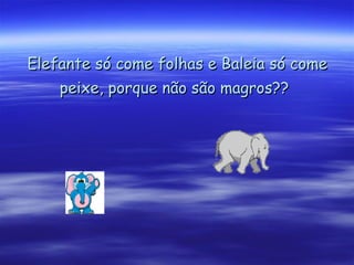 Elefante só come folhas e Baleia só come peixe, porque não são magros??   