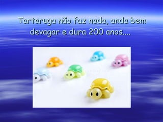 Tartaruga não faz nada, anda bem devagar e dura 200 anos....   