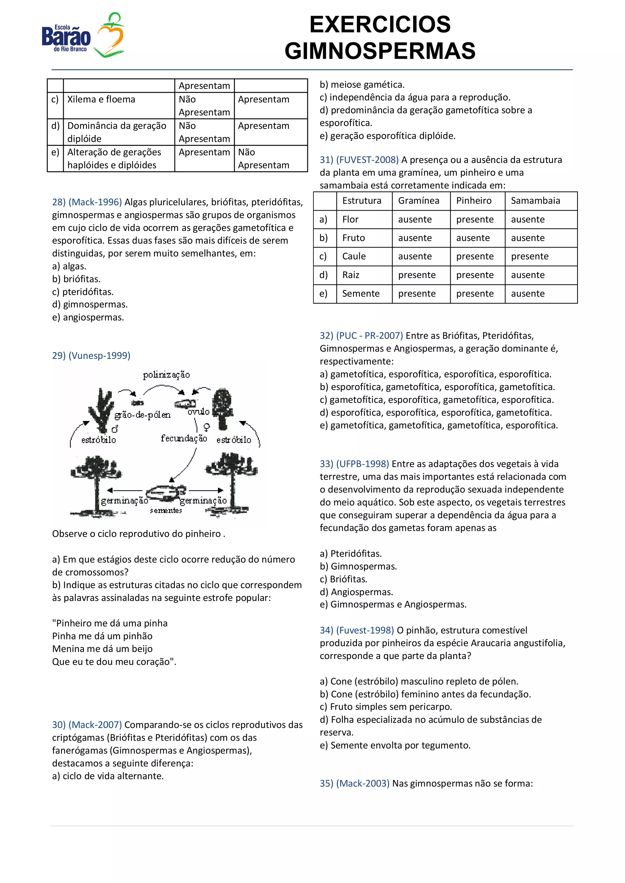 Exercicios gimnospermas | PDF