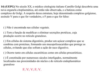 14) (UEPG) No século XX, o médico citologista italiano Camillo Golgi descobriu uma 
nova organela citoplasmática, até então não observada, e a batizou como 
complexo de Golgi. A respeito dessa estrutura, hoje denominada complexo golgiense, 
assinale V para o que for verdadeiro, e F para o que for falso: 
( ) Não é encontrada nas células vegetais. 
( ) Tem a função de modificar e eliminar secreções protéicas, cuja 
produção ocorre no retículo granuloso. 
( ) Em células do sistema digestório, produz um açúcar complexo que se 
combina com proteínas, formando um mucopolissacarídeo que protege as 
células, evitando que elas sofram a ação do suco digestivo. 
( ) Ocorre tanto em células eucarióticas como em células procarióticas. 
( ) É constituída por numerosos sáculos interligados, normalmente 
localizados nas proximidades do núcleo e do retículo endoplasmático 
granuloso 
F; V; V; F; V. 
 