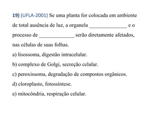19) (UFLA-2001) Se uma planta for colocada em ambiente 
de total ausência de luz, a organela ______________ e o 
processo de _____________ serão diretamente afetados, 
nas células de suas folhas. 
a) lisossoma, digestão intracelular. 
b) complexo de Golgi, secreção celular. 
c) peroxissoma, degradação de compostos orgânicos. 
d) cloroplasto, fotossíntese. 
e) mitocôndria, respiração celular. 
 