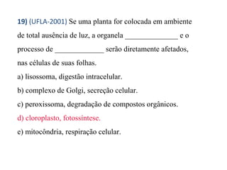 19) (UFLA-2001) Se uma planta for colocada em ambiente 
de total ausência de luz, a organela ______________ e o 
processo de _____________ serão diretamente afetados, 
nas células de suas folhas. 
a) lisossoma, digestão intracelular. 
b) complexo de Golgi, secreção celular. 
c) peroxissoma, degradação de compostos orgânicos. 
d) cloroplasto, fotossíntese. 
e) mitocôndria, respiração celular. 
 