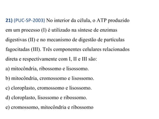 21) (PUC-SP-2003) No interior da célula, o ATP produzido 
em um processo (I) é utilizado na síntese de enzimas 
digestivas (II) e no mecanismo de digestão de partículas 
fagocitadas (III). Três componentes celulares relacionados 
direta e respectivamente com I, II e III são: 
a) mitocôndria, ribossomo e lisossomo. 
b) mitocôndria, cromossomo e lisossomo. 
c) cloroplasto, cromossomo e lisossomo. 
d) cloroplasto, lisossomo e ribossomo. 
e) cromossomo, mitocôndria e ribossomo 
 