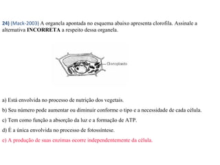 24) (Mack-2003) A organela apontada no esquema abaixo apresenta clorofila. Assinale a 
alternativa INCORRETA a respeito dessa organela. 
a) Está envolvida no processo de nutrição dos vegetais. 
b) Seu número pode aumentar ou diminuir conforme o tipo e a necessidade de cada célula. 
c) Tem como função a absorção da luz e a formação de ATP. 
d) É a única envolvida no processo de fotossíntese. 
e) A produção de suas enzimas ocorre independentemente da célula. 
 