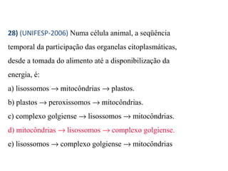28) (UNIFESP-2006) Numa célula animal, a seqüência 
temporal da participação das organelas citoplasmáticas, 
desde a tomada do alimento até a disponibilização da 
energia, é: 
a) lisossomos ® mitocôndrias ® plastos. 
b) plastos ® peroxissomos ® mitocôndrias. 
c) complexo golgiense ® lisossomos ® mitocôndrias. 
d) mitocôndrias ® lisossomos ® complexo golgiense. 
e) lisossomos ® complexo golgiense ® mitocôndrias 
 