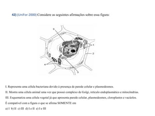 42) (UniFor-2000) Considere as seguintes afirmações sobre essa figura: 
I. Representa uma célula bacteriana devido à presença de parede celular e plasmodesmos. 
II. Mostra uma célula animal uma vez que possui complexo de Golgi, retículo endoplasmático e mitocôndrias. 
III. Esquematiza uma célula vegetal já que apresenta parede celular, plasmodesmos, cloroplastos e vacúolos. 
É compatível com a figura o que se afirma SOMENTE em 
a) I b) II c) III d) I e II e) I e III 
 