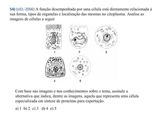 54) (UEL-2006) A função desempenhada por uma célula está diretamente relacionada à 
sua forma, tipos de organelas e localização das mesmas no citoplasma. Analise as 
imagens de células a seguir 
Com base nas imagens e nos conhecimentos sobre o tema, assinale a 
alternativa que indica, dentre as imagens, aquela que representa uma célula 
especializada em síntese de proteínas para exportação. 
a) 1 b) 2 c) 3 d) 4 e) 5 
 