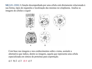 54) (UEL-2006) A função desempenhada por uma célula está diretamente relacionada à 
sua forma, tipos de organelas e localização das mesmas no citoplasma. Analise as 
imagens de células a seguir 
Com base nas imagens e nos conhecimentos sobre o tema, assinale a 
alternativa que indica, dentre as imagens, aquela que representa uma célula 
especializada em síntese de proteínas para exportação. 
a) 1 b) 2 c) 3 d) 4 e) 5 
 