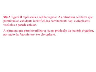 58) A figura B representa a célula vegetal. As estruturas celulares que 
permitem ao estudante identificá-las corretamente são: cloroplastos, 
vacúolos e parede celular. 
A estrutura que permite utilizar a luz na produção da matéria orgânica, 
por meio da fotossíntese, é o cloroplasto. 
 