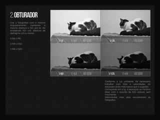 1/15 f/4,8 iso3200 1/30 f/4,8 iso3200
1/60 f/4,8 iso3200 1/125 f/4,8 iso3200
2.obturador
Crie3fotograﬁascom o mesmo
enquadramento, mantendo a
mesmaaberturaeISO,porex.dia
ensolarado ISO 100,abertura de
diafragma5.6oumenor:
11foto1/60
1foto1/250
1foto1/500
Conforme a luz ambiente,foinecessário
trabalhar com tripé e velocidades do
obturadoraindamaisbaixasqueosugerido.
Começandoem 1/15,aexposiçãosemostrou
ideal,com oassuntodafotoestável,sem
movimento.
VeVelocidades mais altas escureceram as
fotograﬁas.
 