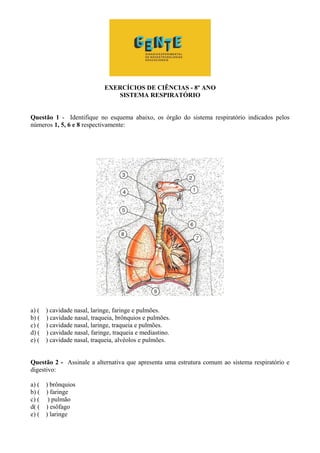 EXERCÍCIOS DE CIÊNCIAS - 8º ANO
SISTEMA RESPIRATÓRIO
Questão 1 - Identifique no esquema abaixo, os órgão do sistema respiratório indicados pelos
números 1, 5, 6 e 8 respectivamente:
a) ( ) cavidade nasal, laringe, faringe e pulmões.
b) ( ) cavidade nasal, traqueia, brônquios e pulmões.
c) ( ) cavidade nasal, laringe, traqueia e pulmões.
d) ( ) cavidade nasal, faringe, traqueia e mediastino.
e) ( ) cavidade nasal, traqueia, alvéolos e pulmões.
Questão 2 - Assinale a alternativa que apresenta uma estrutura comum ao sistema respiratório e
digestivo:
a) ( ) brônquios
b) ( ) faringe
c) ( ) pulmão
d( ( ) esôfago
e) ( ) laringe
 