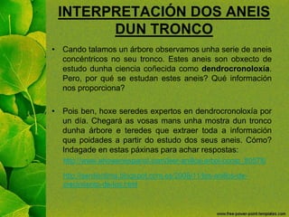 INTERPRETACIÓN DOS ANEIS
DUN TRONCO
• Cando talamos un árbore observamos unha serie de aneis
concéntricos no seu tronco. E...
