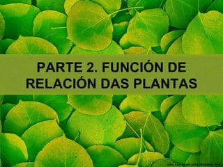 PARTE 2. FUNCIÓN DE
RELACIÓN DAS PLANTAS
 