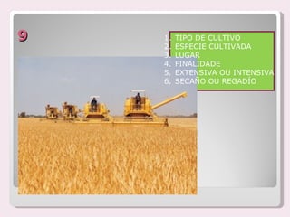 9   1.   TIPO DE CULTIVO
    2.   ESPECIE CULTIVADA
    3.   LUGAR
    4.   FINALIDADE
    5.   EXTENSIVA OU INTENSIVA
    6.   SECAÑO OU REGADÍO
 