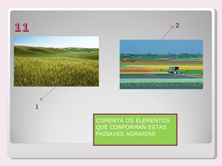 11                              2




     1

         COMENTA OS ELEMENTOS
         QUE CONFORMAN ESTAS
         PAISAXES AGRARIAS
 