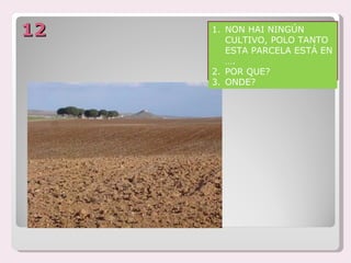 12   1. NON HAI NINGÚN
        CULTIVO, POLO TANTO
        ESTA PARCELA ESTÁ EN
        ….
     2. POR QUE?
     3. ONDE?
 