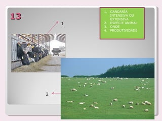 1. GANDARÍA
13              INTENSIVA OU
                EXTENSIVA
         1   2. ESPECIE ANIMAL
             3. ONDE
             4. PRODUTIVIDADE




     2
 