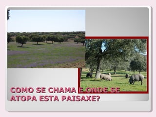 COMO SE CHAMA E ONDE SE
ATOPA ESTA PAISAXE?
 