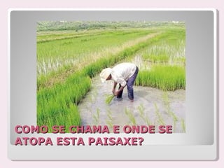 COMO SE CHAMA E ONDE SE
ATOPA ESTA PAISAXE?
 