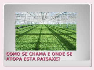 COMO SE CHAMA E ONDE SE
ATOPA ESTA PAISAXE?
 