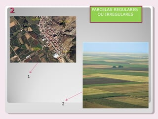2           PARCELAS REGULARES
              OU IRREGULARES




    1




        2
 