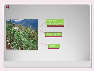 4

    TIPO DE
    AGRICULTURA




    FINALIDADE




      ONDE
 