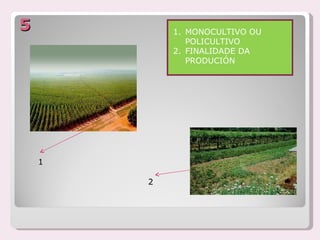 5           1. MONOCULTIVO OU
               POLICULTIVO
            2. FINALIDADE DA
               PRODUCIÓN




    1

        2
 
