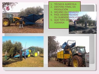 1. TÉCNICA AGRÍCOLA

6   2. DESTINO FINAL DA
       PRODUCIÓN
    3. SECAÑO OU REGADÍO
    4. PAÍS DESENVOLVIDO
       OU SUBDESENVOLVIDO
    5. QUE TIPO DE PAISAXE
       AGRARIA
 
