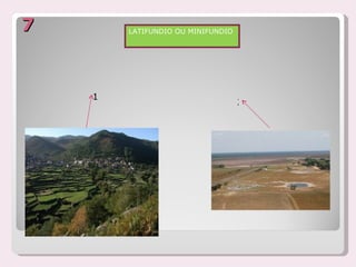 7       LATIFUNDIO OU MINIFUNDIO




    1
                                   2
 