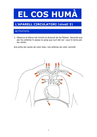 Exercicis circulatori[3]