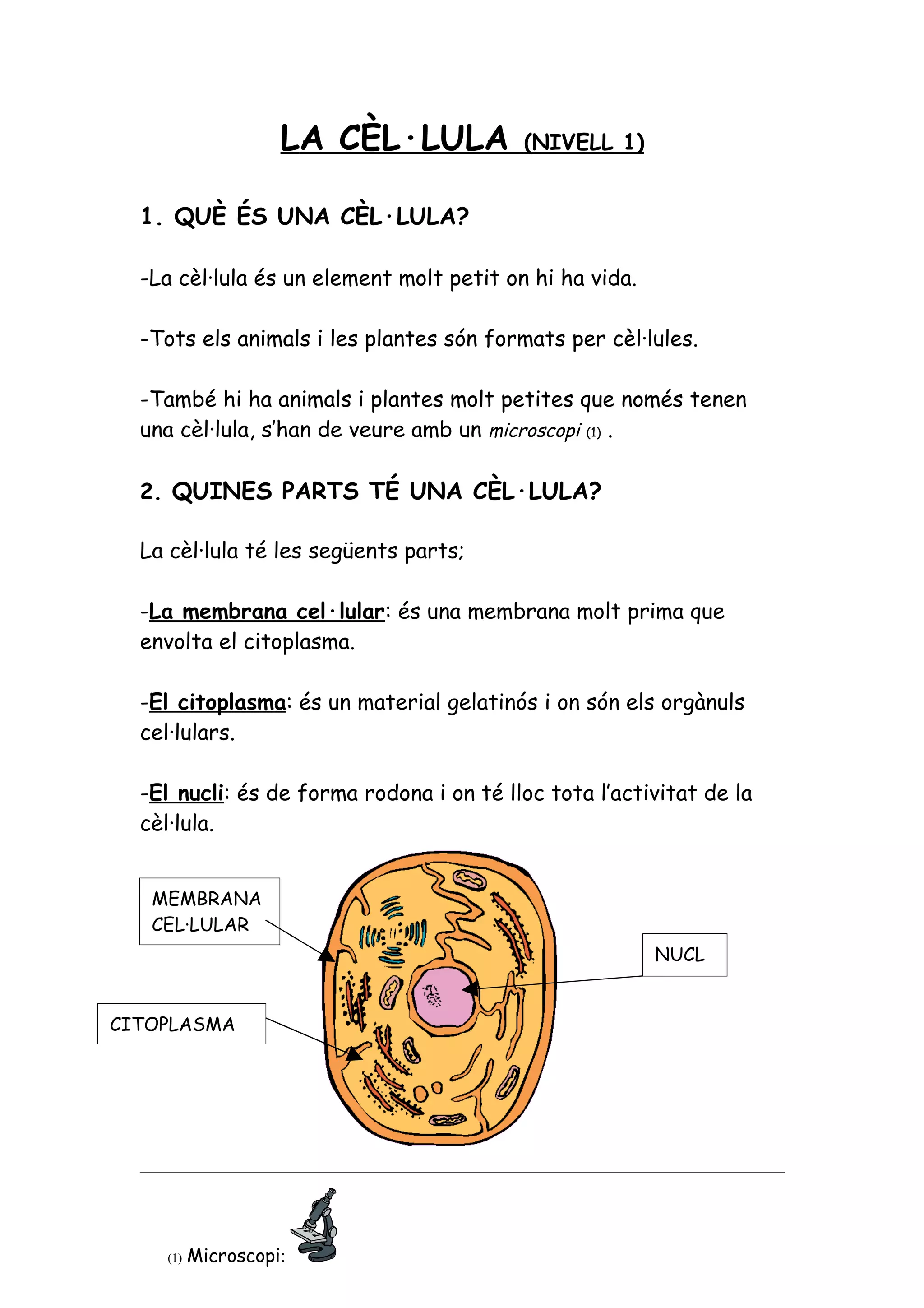 Exercicis la cèl·lula nivells 1, 2 i 3