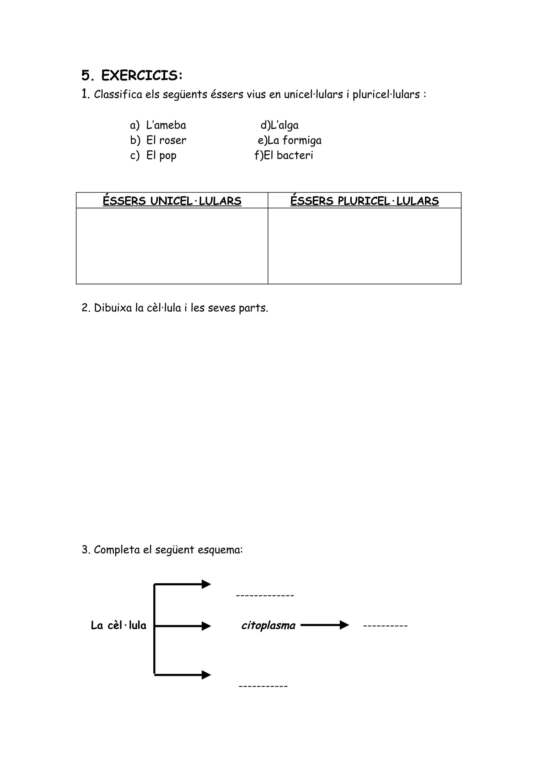 Exercicis la cèl·lula nivells 1, 2 i 3