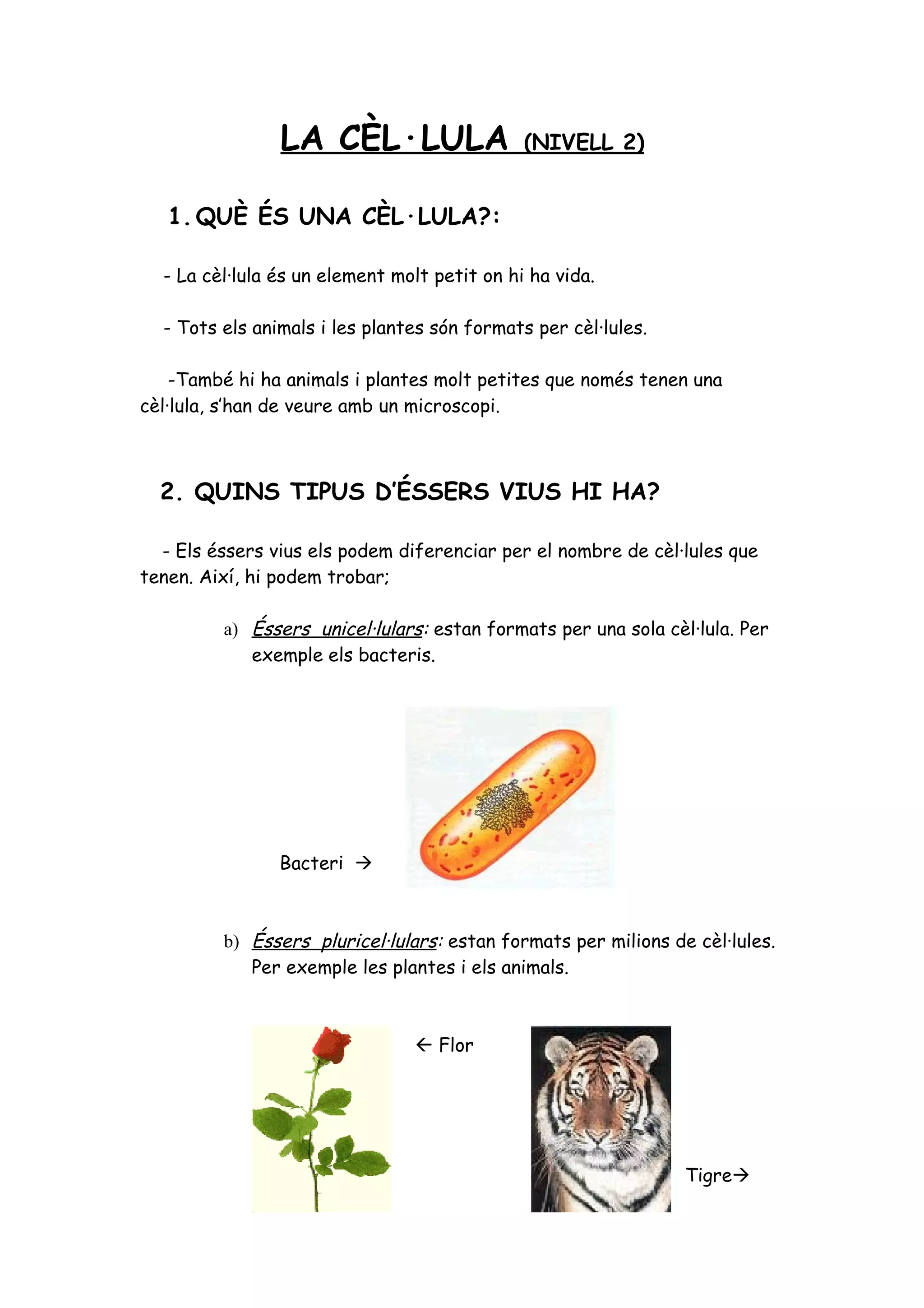 Exercicis la cèl·lula nivells 1, 2 i 3