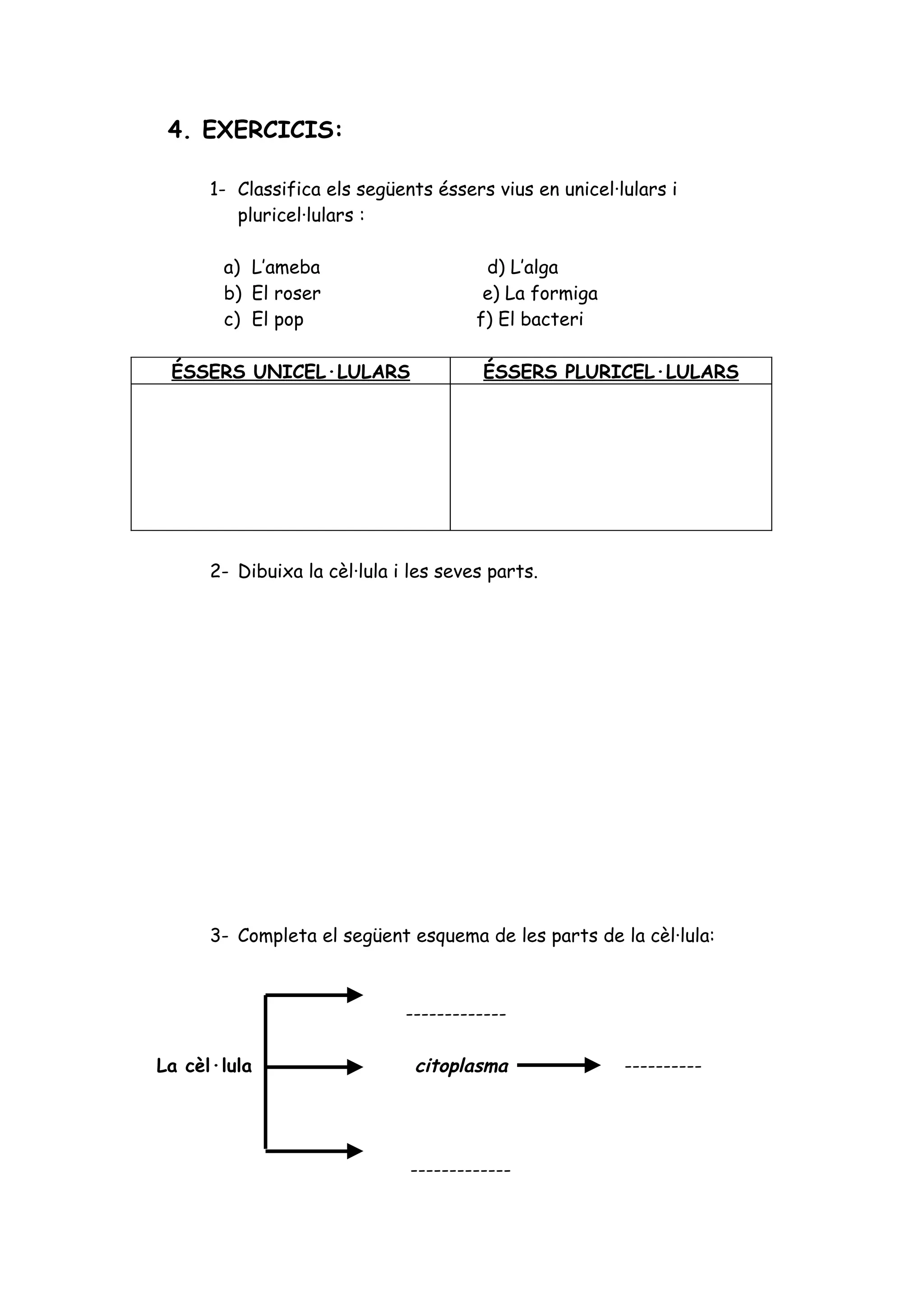 Exercicis la cèl·lula nivells 1, 2 i 3